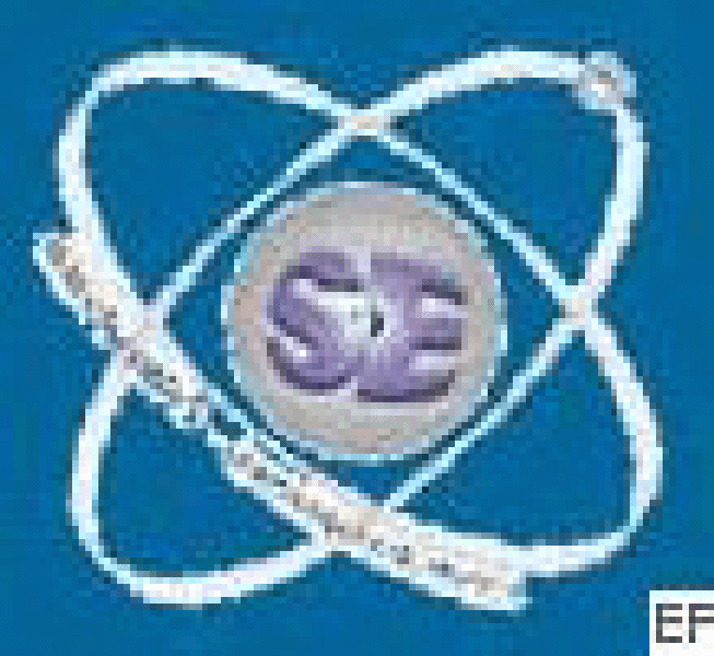 2008第六屆廣東社會(huì)公共安全防范產(chǎn)品及警用裝備(廣州)展覽會(huì)