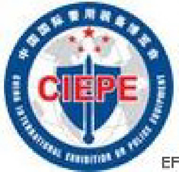 第四屆中國(guó)國(guó)際警用裝備展覽會(huì)