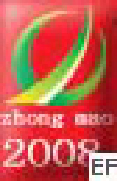 2008第二屆中國安徽國際自行車電動車交易會