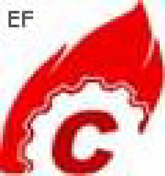 第十屆中國國際水泥技術(shù)及裝備展覽會