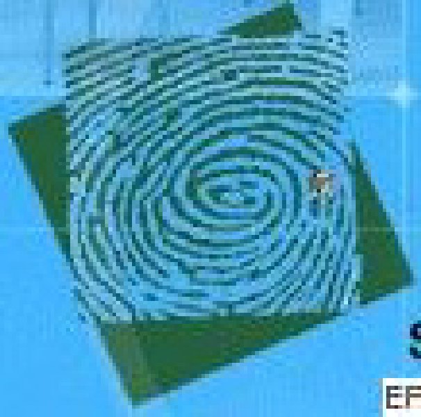 2010中國(沈陽)國際地板博覽會