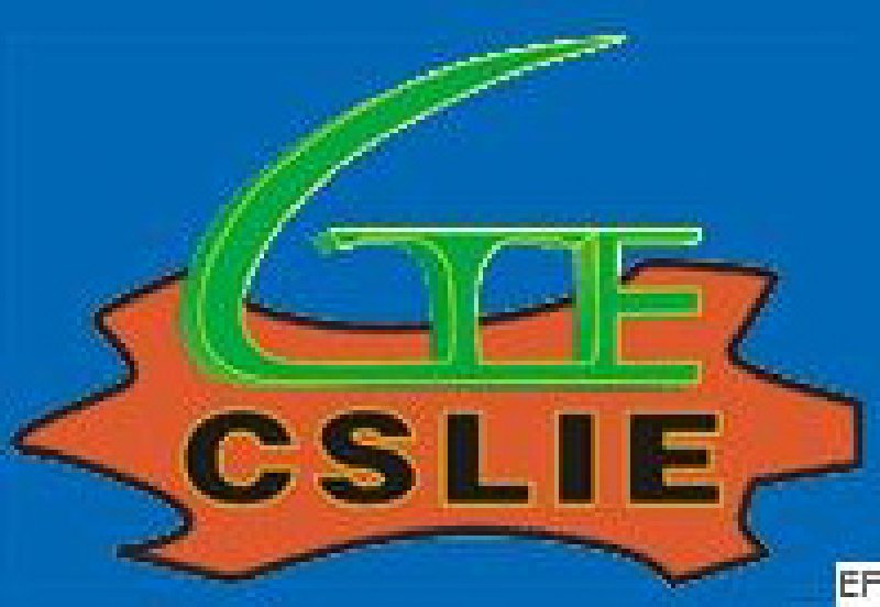 2010首屆中國(上海)國際人造革合成革工業(yè)展覽會