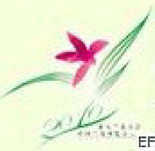 2010第10屆亞太蘭花大會(huì)暨第20屆中國蘭花博覽會(huì)