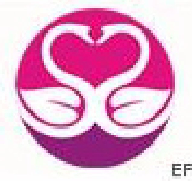 2009(第五屆)深圳國際婚博會(huì)