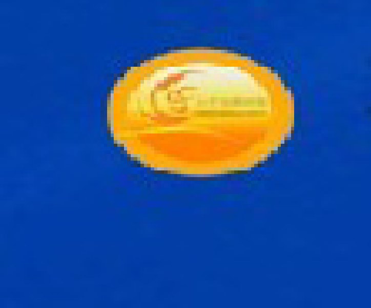 2010第八屆中國(guó)青島特許連鎖加盟展覽會(huì)暨2010中國(guó)特許加盟展