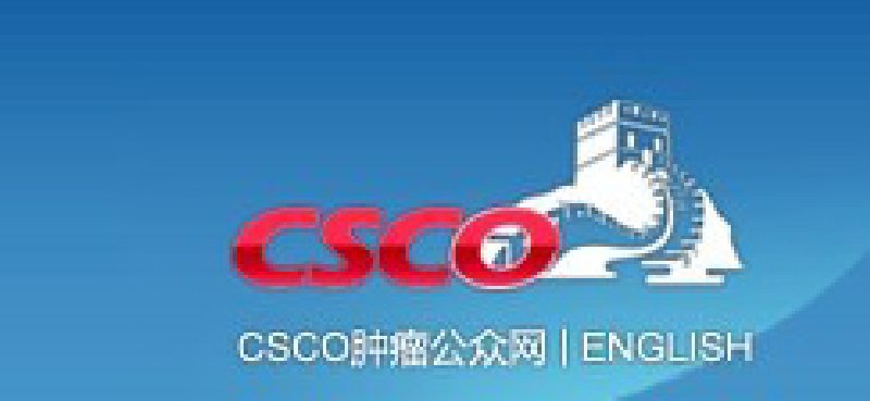 第十三屆全國臨床腫瘤學大會暨2010年CSCO學術年會