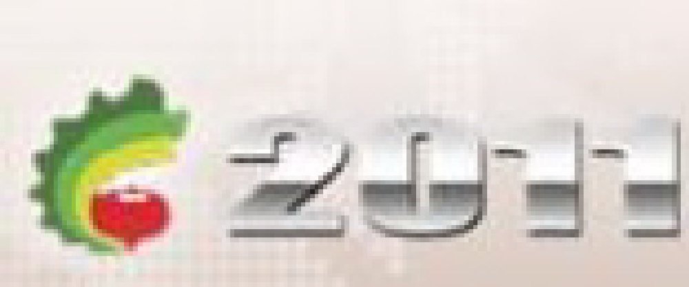 2011中國國際鑄造零部件展覽會