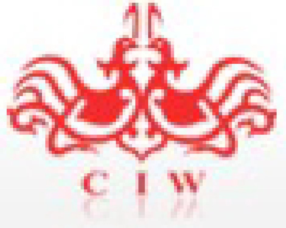 2011春季中國(guó)(廣州)婚博會(huì)