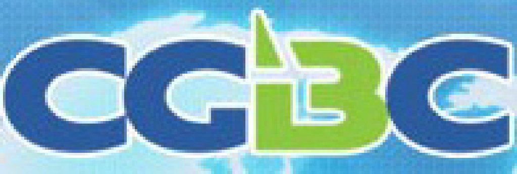 2011第九屆中國(guó)游戲商務(wù)大會(huì)