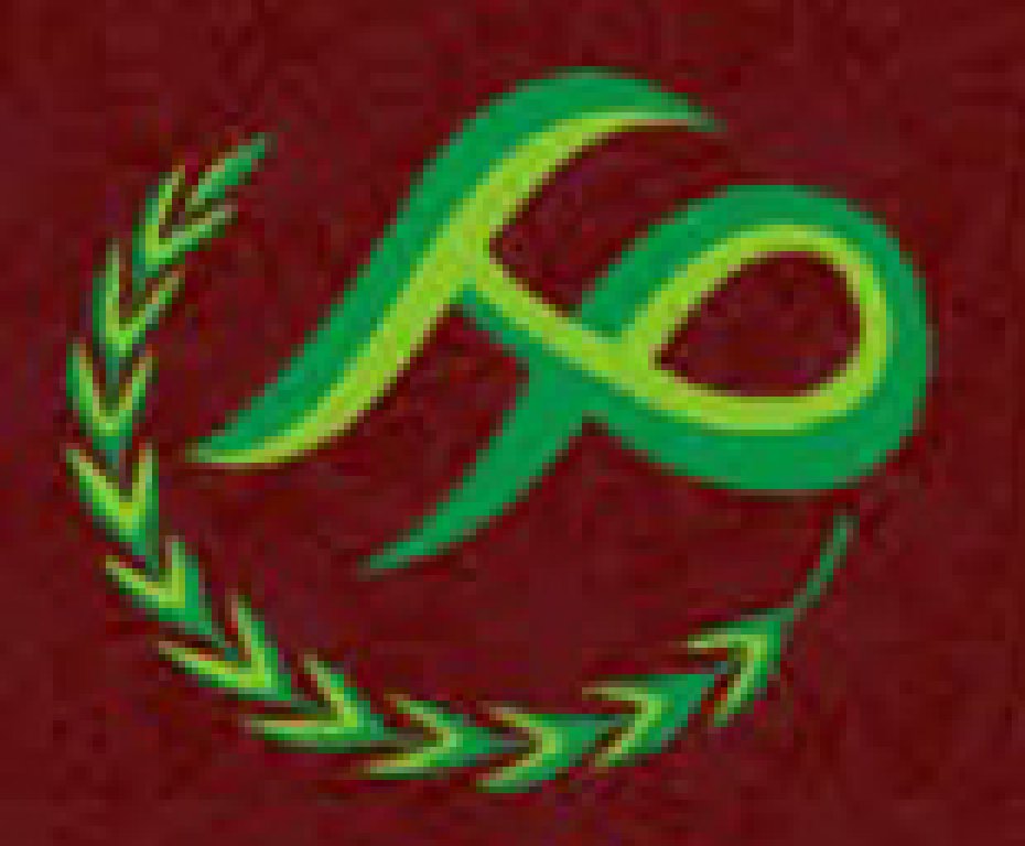 2011第三屆中國(西安)生殖健康暨性文化藝術博覽會