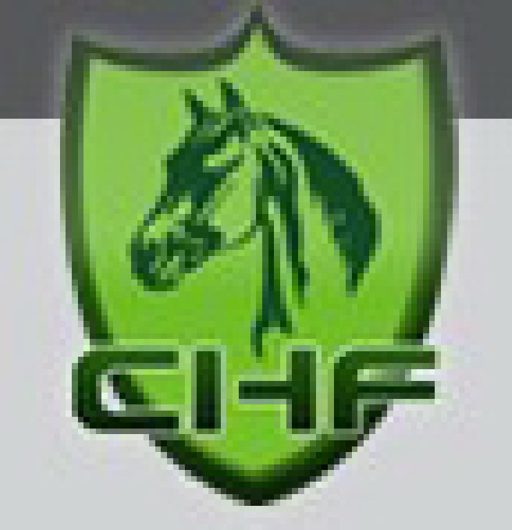 2011第五屆中國(guó)國(guó)際馬業(yè)馬術(shù)展覽會(huì)