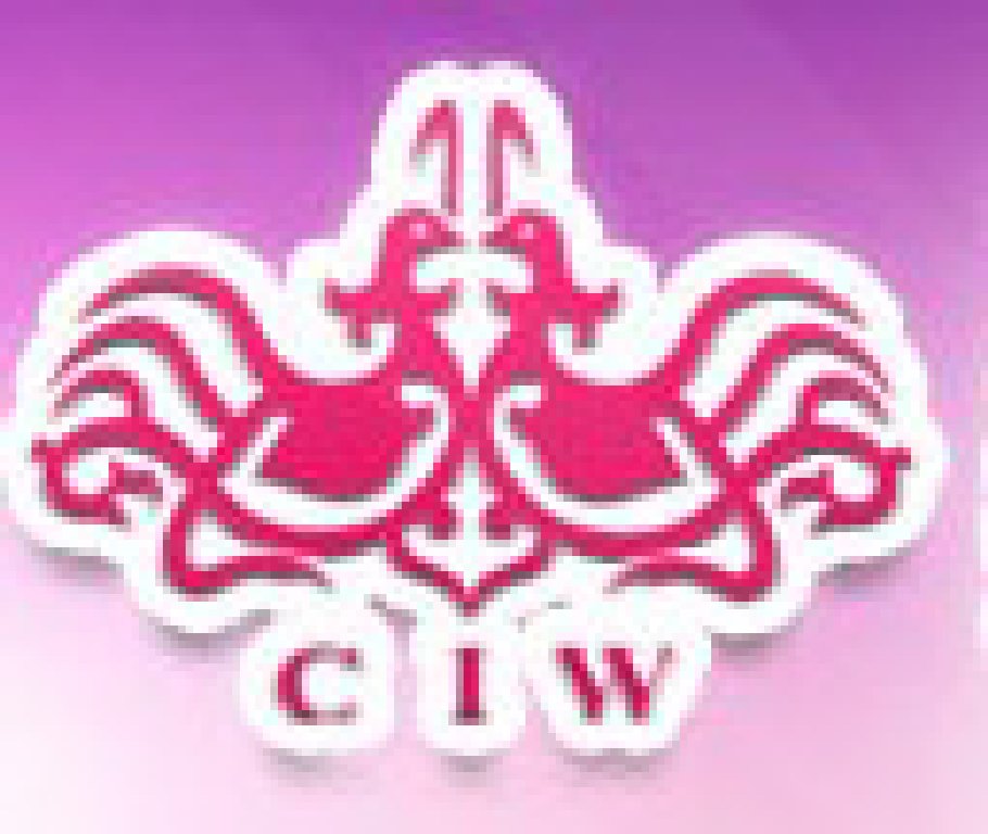 2011年夏季中國(廣州)國際婚博會